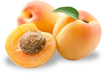 Obstlexikon Aprikose