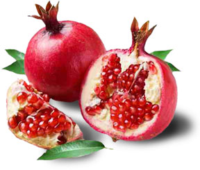 Obstlexikon Granatapfel - Grenadine