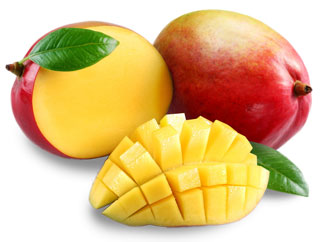Obstlexikon Mango