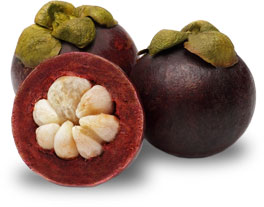 Obstlexikon Mangostane