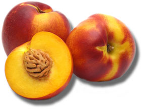 Obstlexikon Nektarine