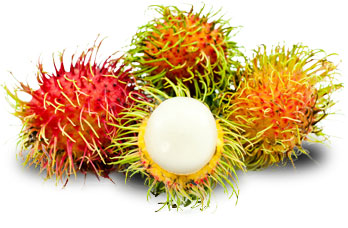 Obstlexikon Rambutan